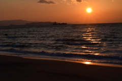 DSC_0487 伊良湖岬H27.2