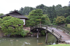 DSC_1472　岡山後楽園H28.9