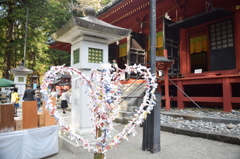 DSC_0483 輪王寺H26.11