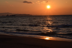 DSC_0486 伊良湖岬H27.2