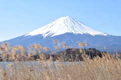 DSC_0262　河口湖H26.3