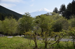 DSC_0418 田貫湖H26.5