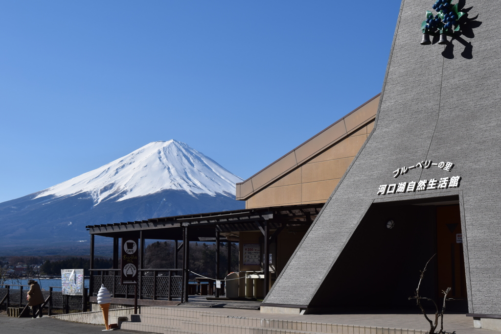 DSC_0252　河口湖H26.3