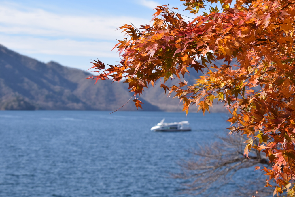 DSC_0443 中禅寺湖H26.11