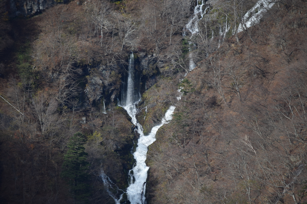 DSC_0405 明智平H26.11