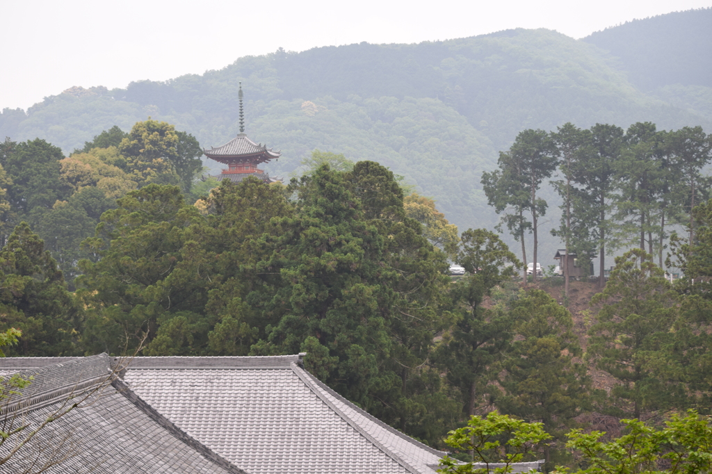 DSC_0882 方広寺H27.5