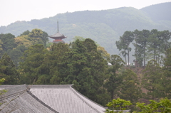 DSC_0882 方広寺H27.5