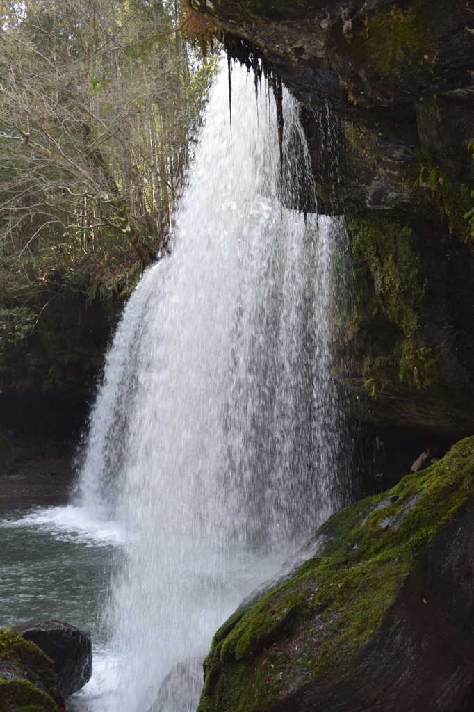 DSC_0949 鍋ヶ滝H27.3