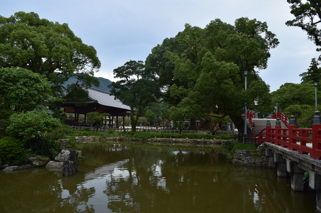DSC_1100 H27.9大宰府