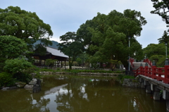 DSC_1100 H27.9大宰府