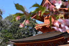 DSC_0429　浅間大社H26.3