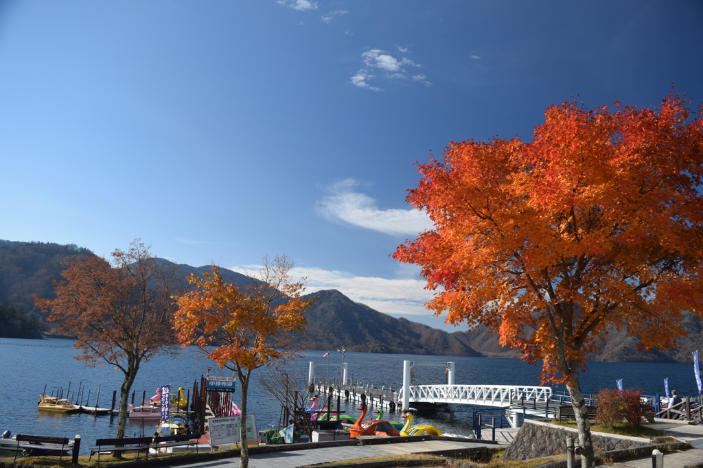 DSC_0423 中禅寺湖H26.11