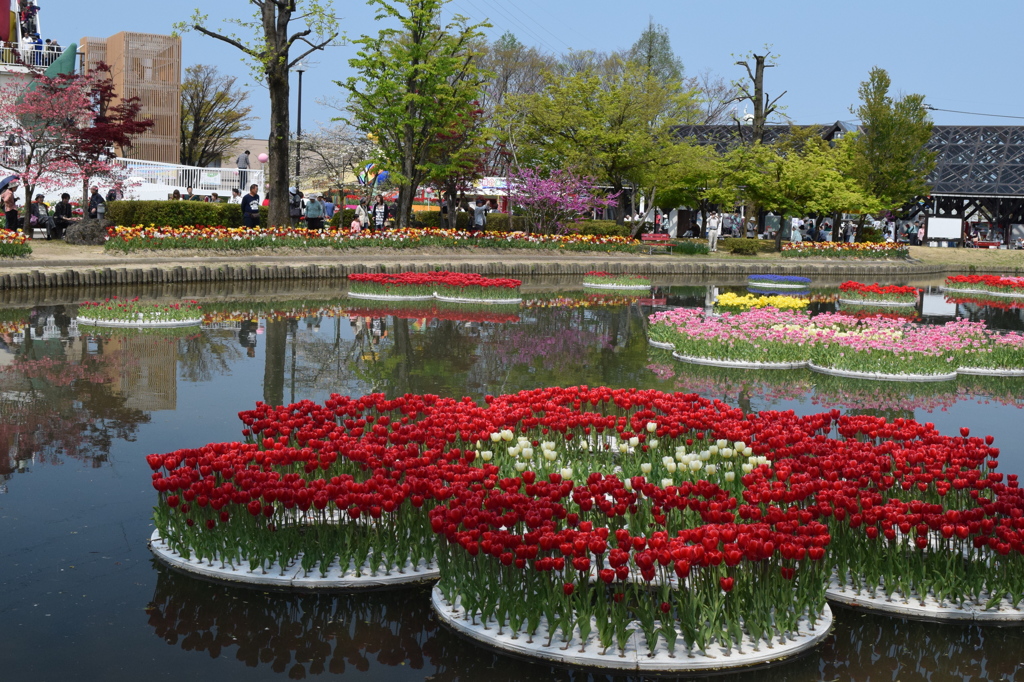 DSC_0364　となみH26.4