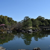 DSC_1306 白鳥庭園H30.3
