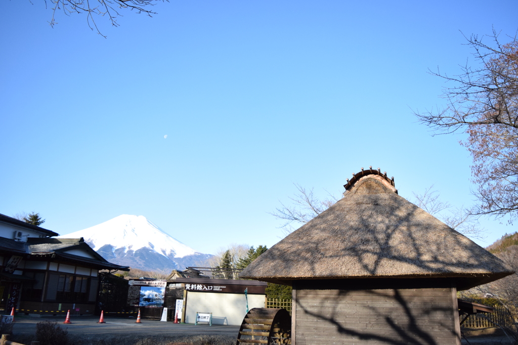 DSC_0218　忍野八海H26.3