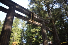 DSC_0473 輪王寺H26.11