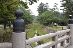 DSC_0358 出雲大社H26.6