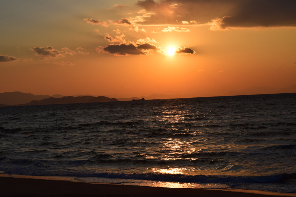 DSC_0475 伊良湖岬H27.2