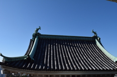 DSC_0456　和歌山城H26.9