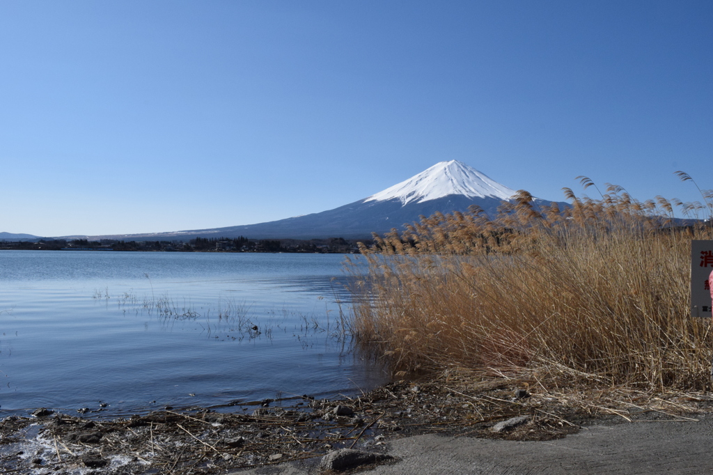 DSC_0269　河口湖H26.3