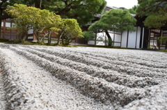 DSC_0362 銀閣寺H26.9