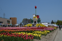 DSC_0397　となみH26.4