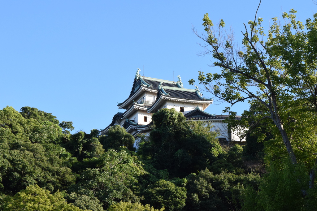 DSC_0425　和歌山城H26.9