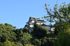 DSC_0425　和歌山城H26.9