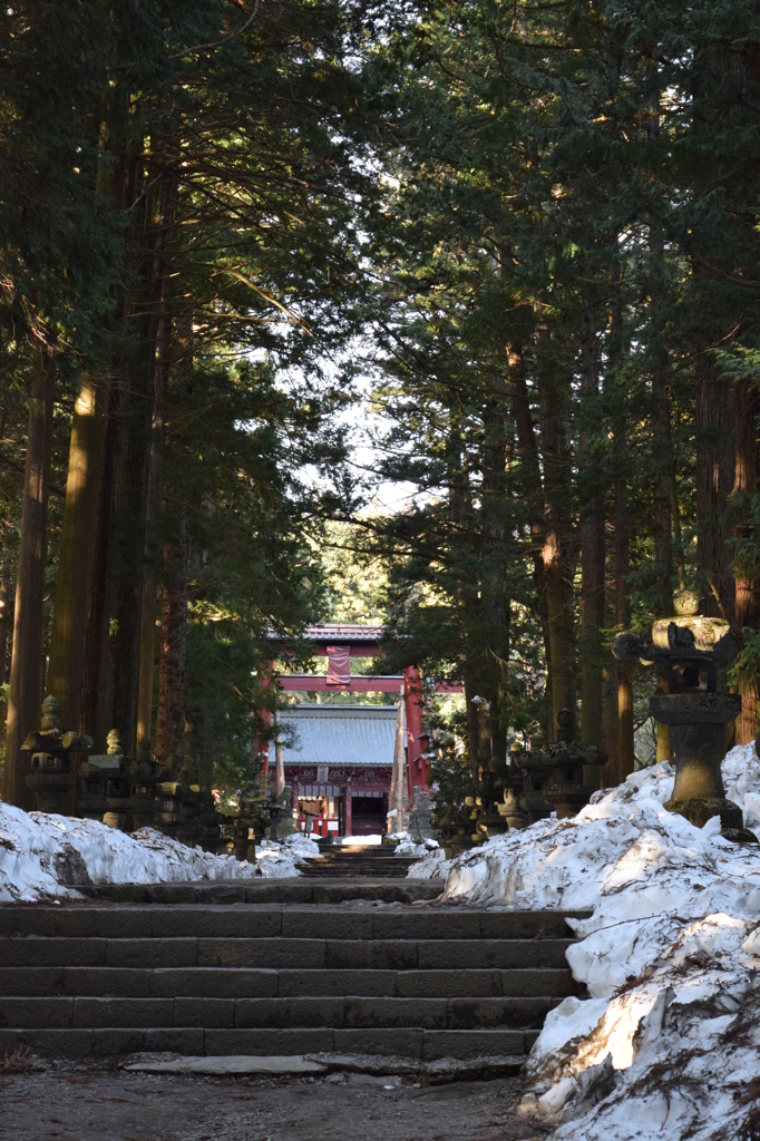 DSC_0230　富士浅間H26.3