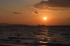 DSC_0488 伊良湖岬H27.2