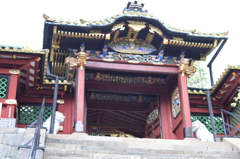 DSC_0479　久能山H26.5