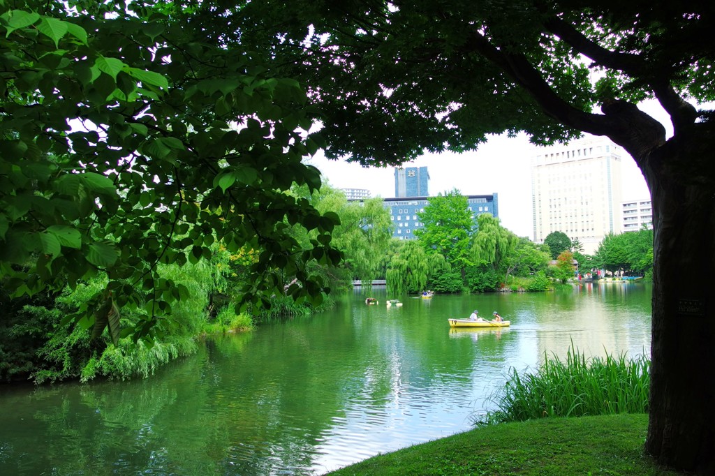中島公園