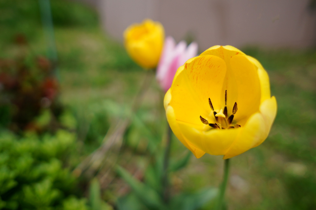 2014-05-10 09.25.46-2