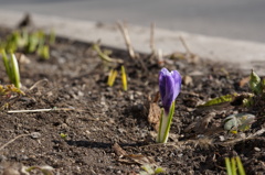 2014-04-08 08.09.35