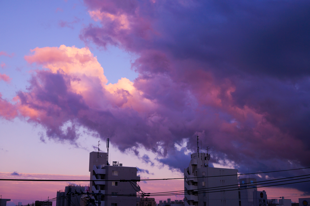 雨上がり