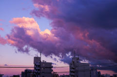 雨上がり
