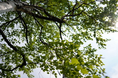 2014-05-10 09.26.10-1