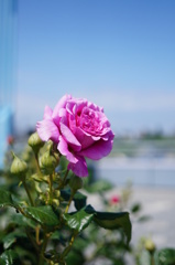 2014-06-22 13.36.27