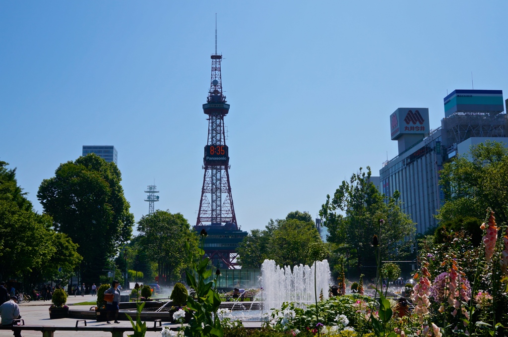 朝の大通公園