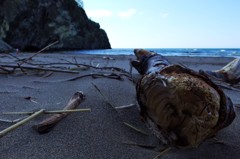 海