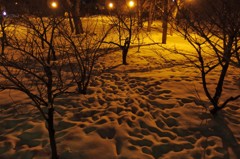 IMG_2166