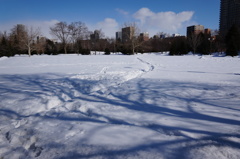 2014-03-02 09.49.38