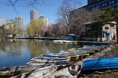 2014-04-29 09.06.29