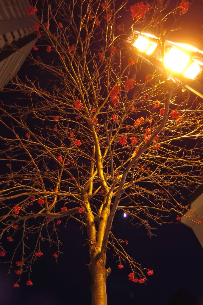IMG_2162