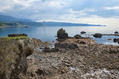 IMG_4451