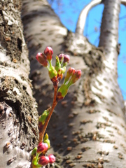 2014-04-29 08.51.03