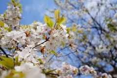 2014-05-10 09.27.48-2