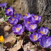 2014-04-20 10.53.26