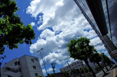 雲