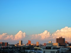 IMG_6838